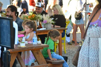 DSC_7639 (Large).JPG